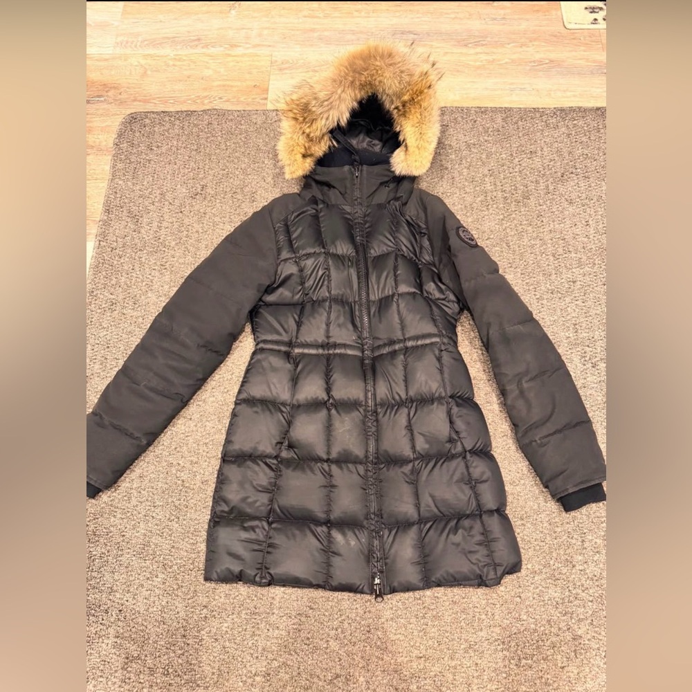 Canada goose Beechwood S